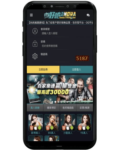 武財神娛樂城平台畫面